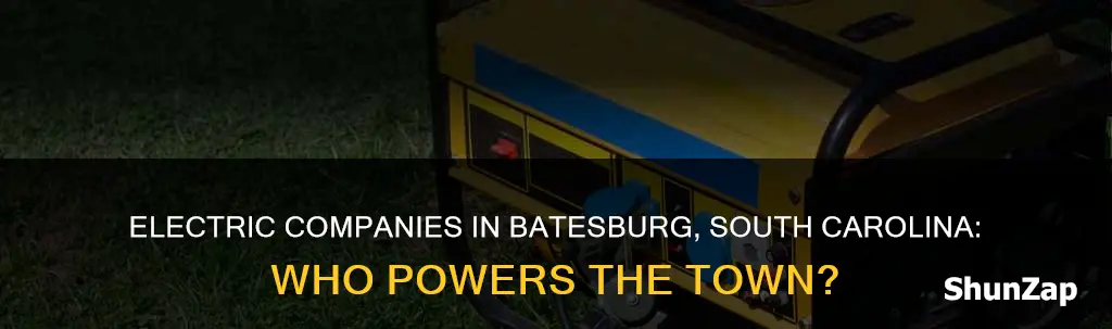 what electric company is in batesburg sc