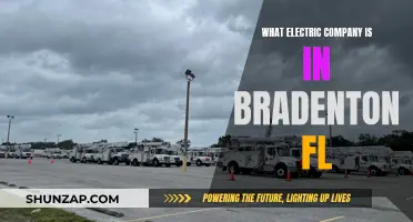 Bradenton's Electric Power: Who's the Supplier?