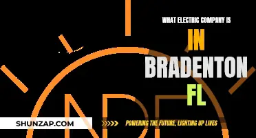 Electric Companies in Bradenton, Florida: Who Powers the City?