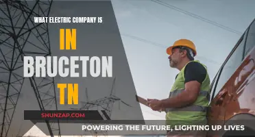 Electricity in Bruceton TN: Powering the Community