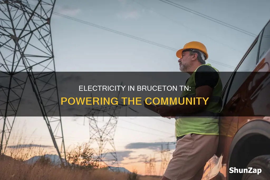 what electric company is in bruceton tn