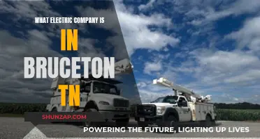 Electric Companies in Bruceton, TN: Who Powers the Town?