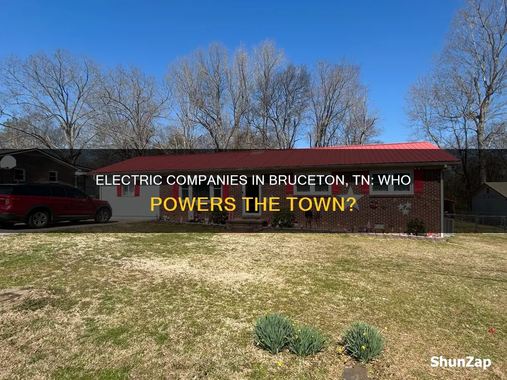 what electric company is in bruceton tn