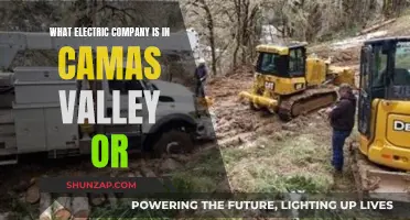 Camas Valley's Electric Power: Unveiling the Company's Identity