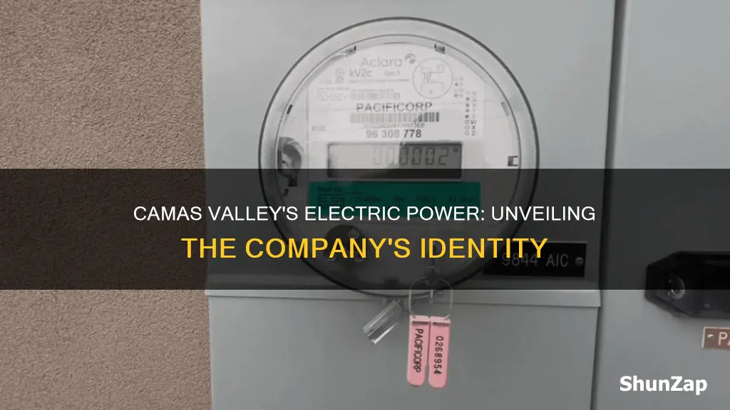 what electric company is in camas valley or