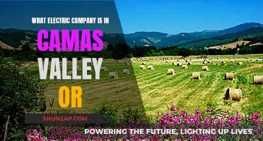 Electric Companies in Camas Valley, Oregon: Who Powers the Town?