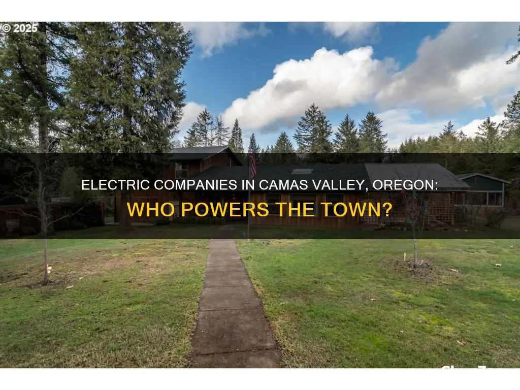 what electric company is in camas valley or