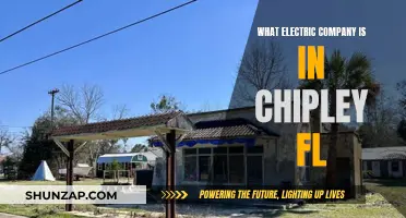 Chipley's Electric Power: Unveiling the Company Behind the Switch