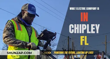 Electric Company Options in Chipley, Florida: Who's Available?