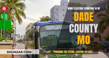 Dade County's Electric Company: Powering the Community with Renewable Energy