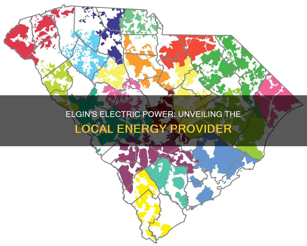 what electric company is in elgin sc