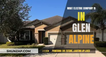 Electric Company Options for Glen Alpine Residents