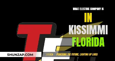 Uncover Kissimmee's Electric Power: A Local Utility Company Guide