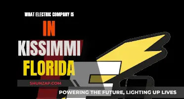 Electric Companies in Kissimmee, Florida: Who Powers the City?
