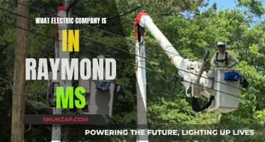 Electric Company Options in Raymond, Mississippi