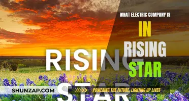 Rising Star's Electric Power: Unveiling the Company Behind the Lights