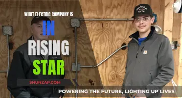 Electric Companies Shining on Rising Star
