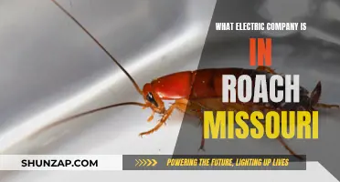 Electric Companies in Roach, Missouri: Who Powers the Town?