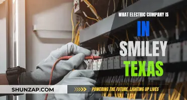 Smiley, Texas: Unveiling the Electric Company's Identity