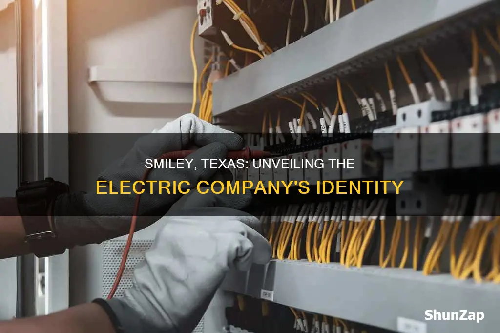 what electric company is in smiley texas