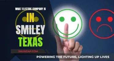 Electric Company Options in Smiley, Texas: Who's Available?