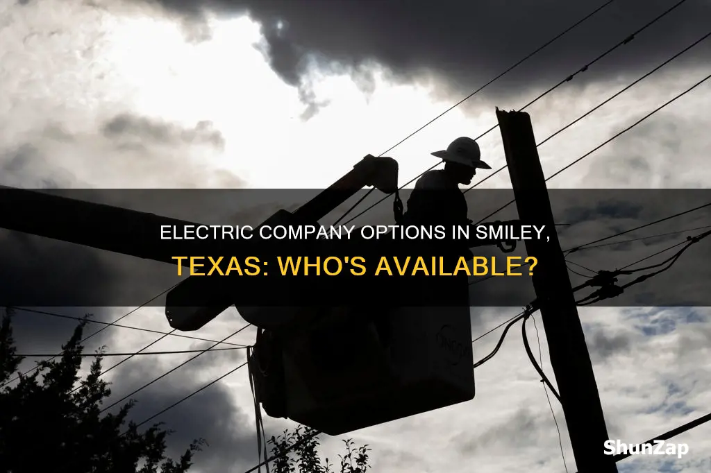what electric company is in smiley texas