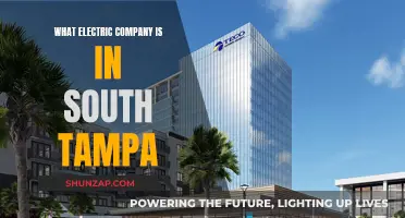 Unveiling Tampa's Electric Power: South Tampa's Energy Provider