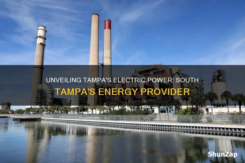 what electric company is in south tampa