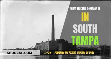 Tampa's Electric Company Options: Who Powers South Tampa?