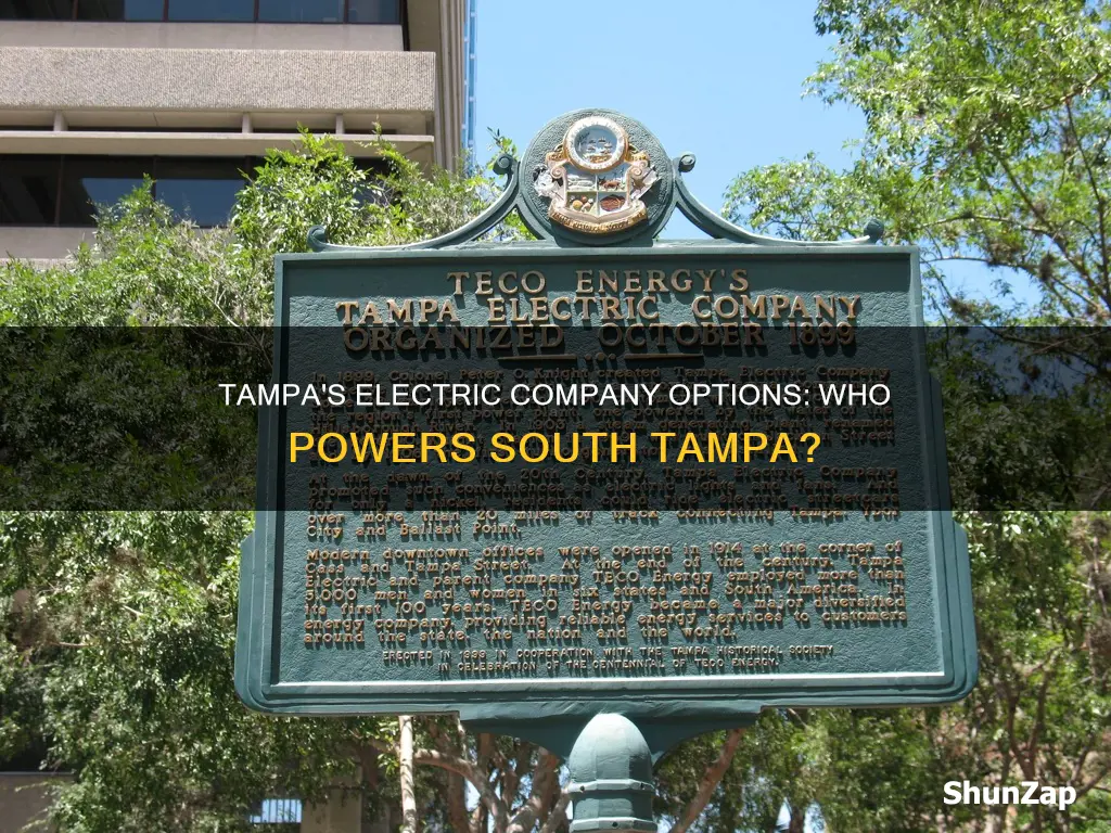 what electric company is in south tampa