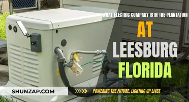 Electric Company in Leesburg's Plantation: Powering the Community