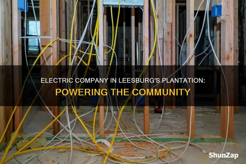 what electric company is in the plantation at leesburg florida