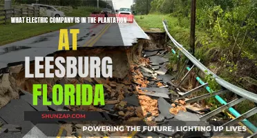 Electric Companies in Leesburg, Florida: Who Powers Plantation?