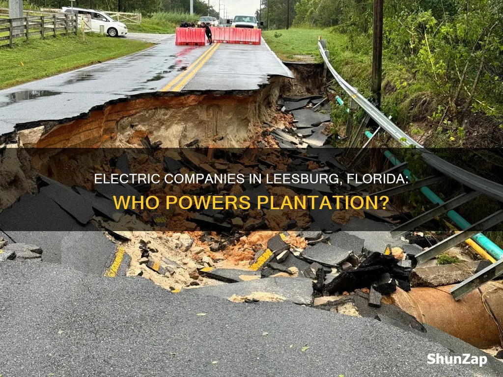 what electric company is in the plantation at leesburg florida
