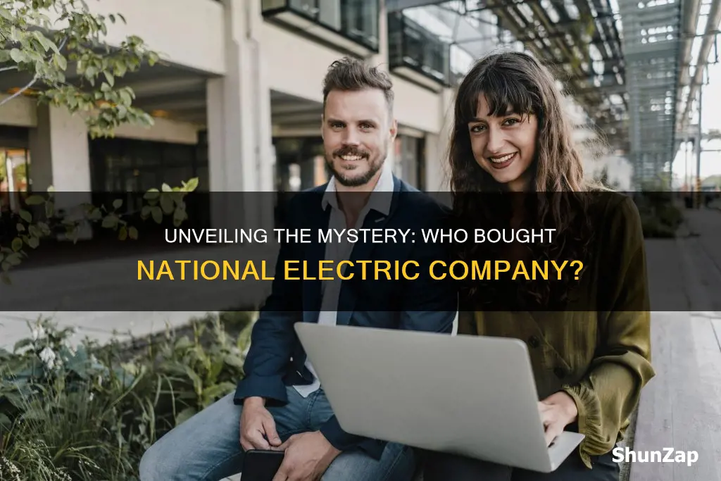 what electric company is sold by team national