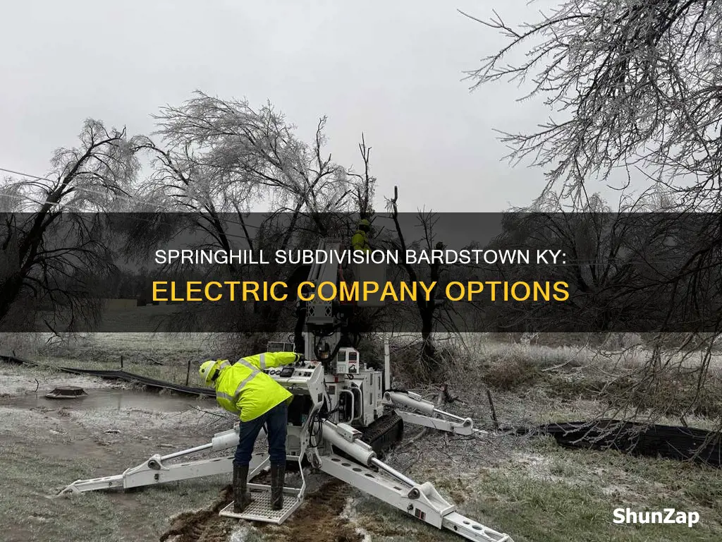 what electric company is springhill subdivision bardstown ky