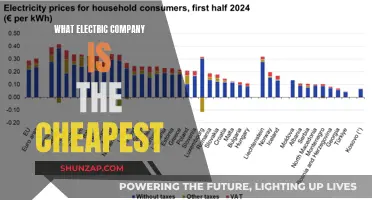 Uncover the Cheapest Electric Company: A Comprehensive Guide