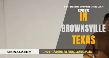 Electric Companies in Brownsville, Texas: Who's the Cheapest?