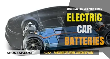 Top Electric Car Battery Manufacturers: Who Powers Your EV?