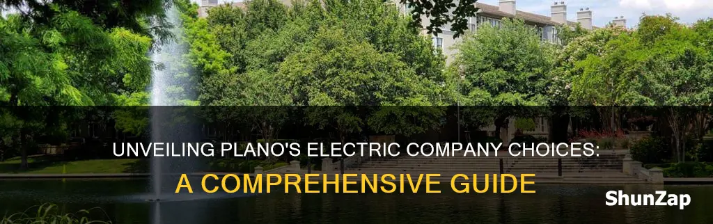 what electric company options do you have in plano texas