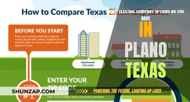 Electric Company Options in Plano, Texas: What's Available?
