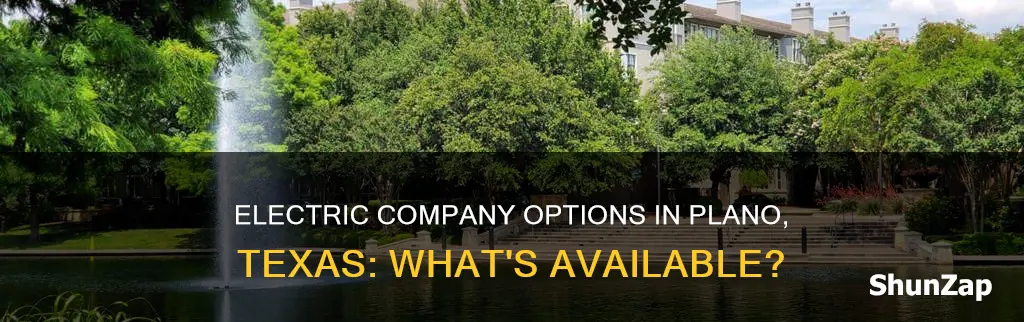 what electric company options do you have in plano texas