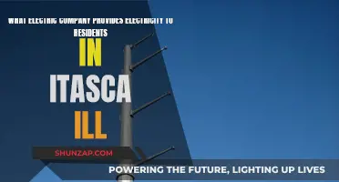 Itaasca's Electric Power: Who's the Supplier?