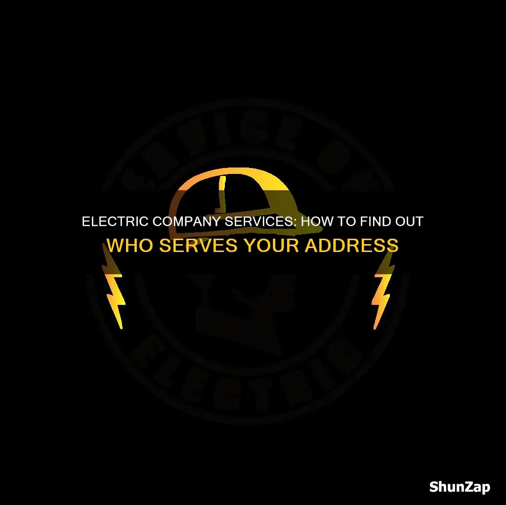 what electric company provides services my address