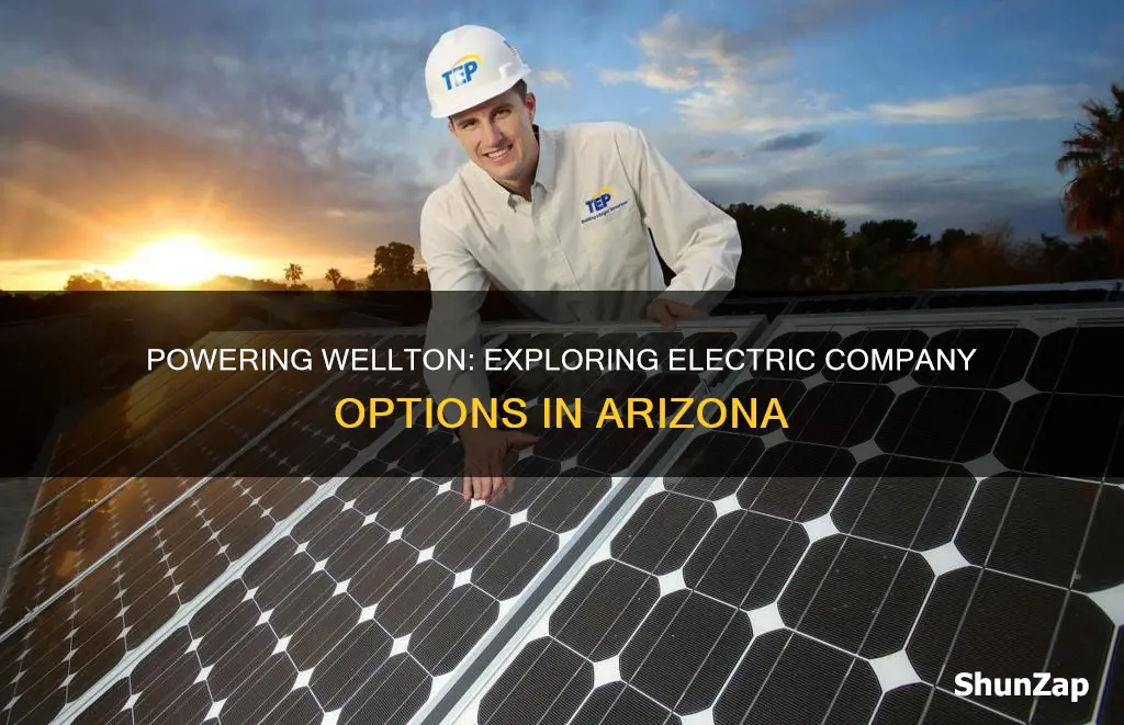 what electric company serivces wellton az