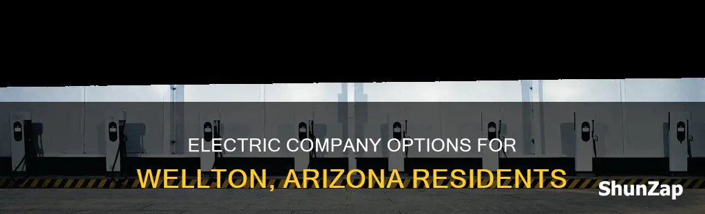 what electric company serivces wellton az