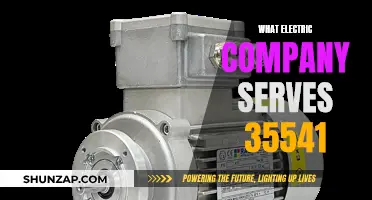 Powering Your Home: Discover Your Electric Company in 35541