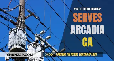 Arcadia's Electric Power: Who's the Supplier?