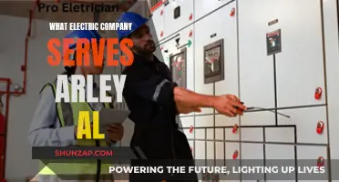 Powering Arley: Unveiling the Electric Company's Reach