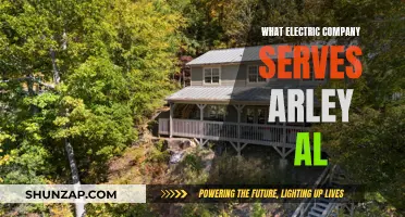 Electric Company Options for Arley, Alabama Residents